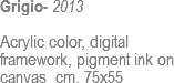 Grigio- 2013 Acrylic color, digital framework, pigment ink on canvas cm. 75x55
